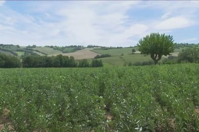 LA GIORNATA MONDIALE DELLA BIODIVERSITA’ NELLE MARCHE