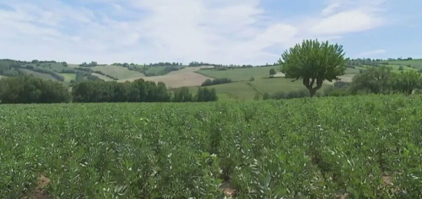LA GIORNATA MONDIALE DELLA BIODIVERSITA’ NELLE MARCHE