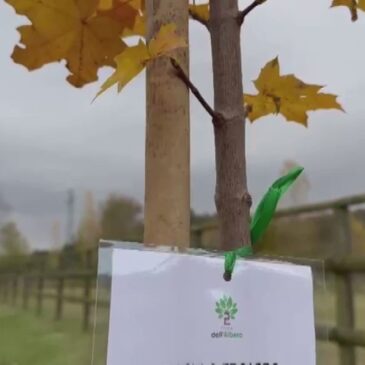 MAIOLATI SPONTINI, IL COMUNE PIANTA UN ALBERO PER OGNI NUOVO NATO