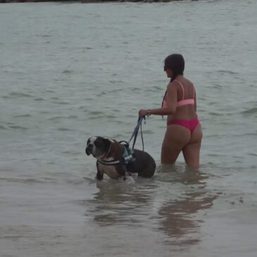 A PORTO RECANATI IN SPIAGGIA CON FIDO