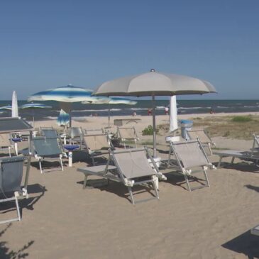 NIDO DI TARTERUGHE TRA GLI OMBRELLONI DI SENIGALLIA