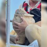 A SANT'ELPIDIO A MARE SPUNTA UN'ANTICA TOMBA PICENA