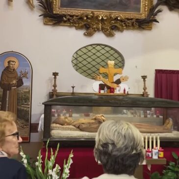 SAN PACIFICO, LE CELEBRAZIONI A SAN SEVERINO MARCHE PER LA PRIMA VOLTA NELLA CHIESA DI SAN DOMENICO